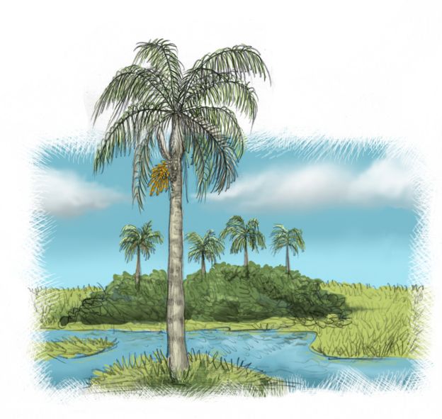 Reprodução de antiga paisagem paulista