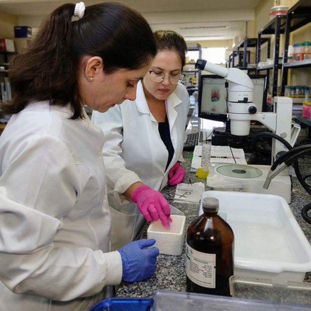 Cientistas testando fórmulas no laboratório