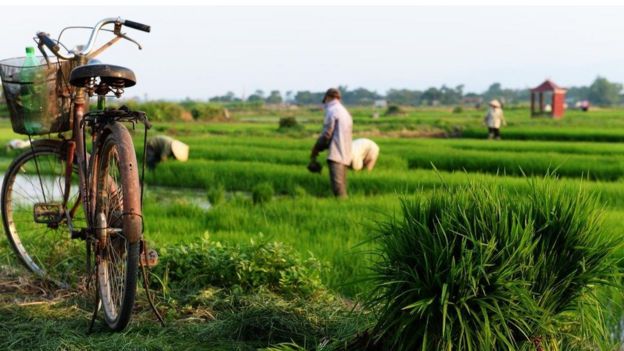 Đất đai luôn là vấn đề lớn cho hệ thống chính trị Việt Nam vì chế độ sở hữu 'toàn dân'