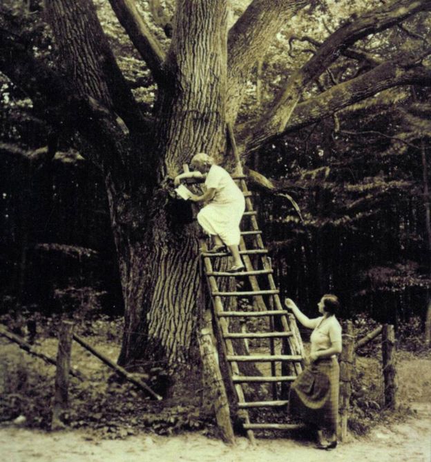 Mujeres visitando el Roble del Novio en 1930 para llevar o leer cartas.