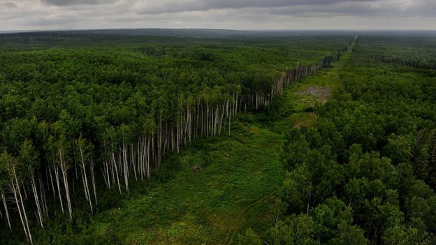 Fort McMurray, Alberta