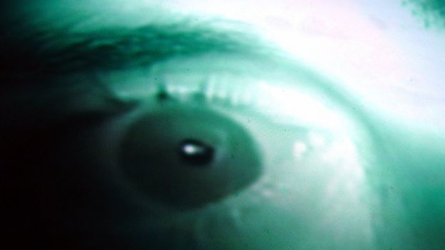 imagen abstracta