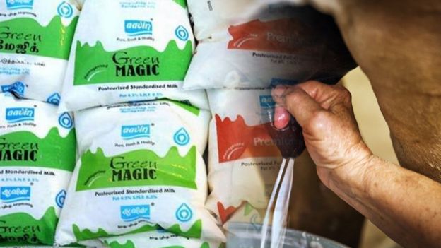 'ஹாங்காங்கில் ஆவின்' - கடல் கடந்து செல்லும் தமிழக பால்