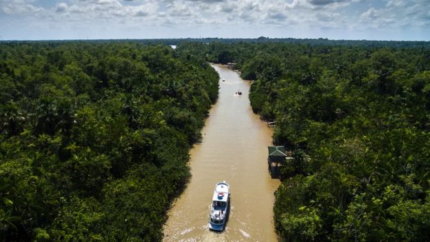 Barcos percorrem rio em meio à floresta amazônica