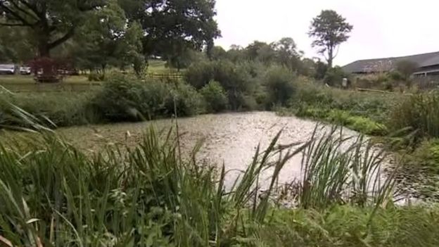 Ferne Animal Sanctuary