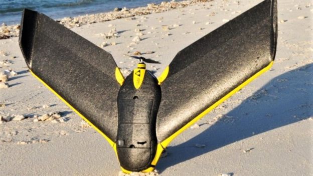 Drone on beach