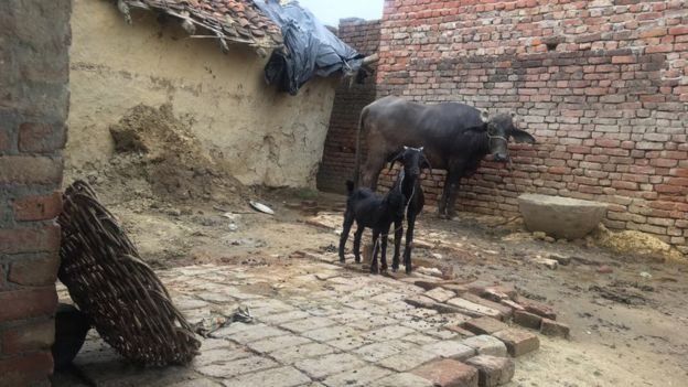 பாலியல் வன்புணர்வு