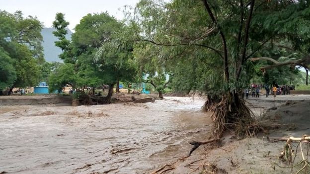 Viji vilivyosombwa na maji ya mafuriko