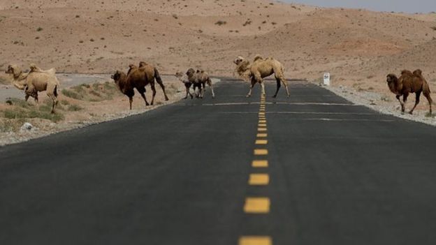 பட்டுப்பாதை கார் பந்தயம்