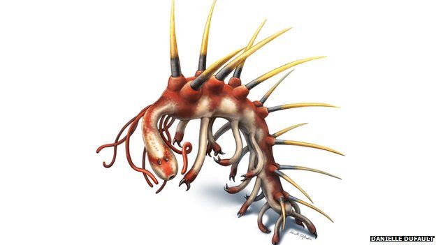 Hallucigenia