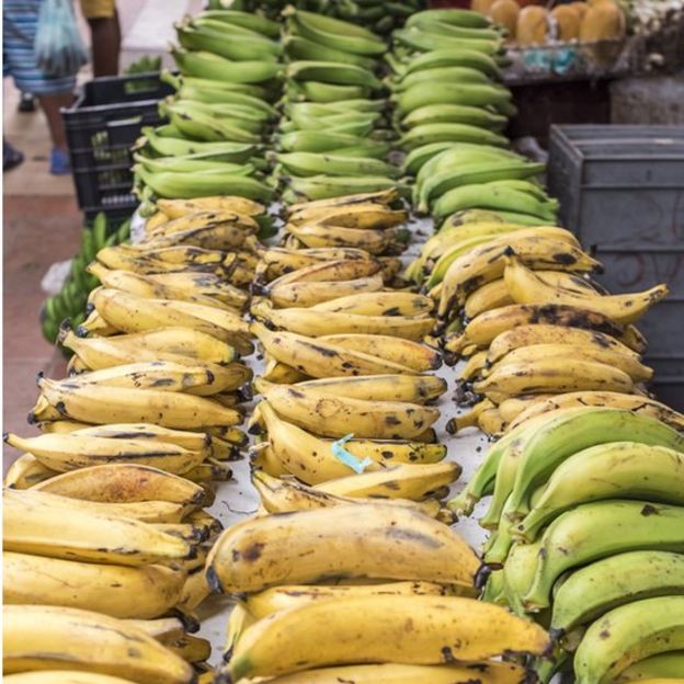 plátanos en Colombia