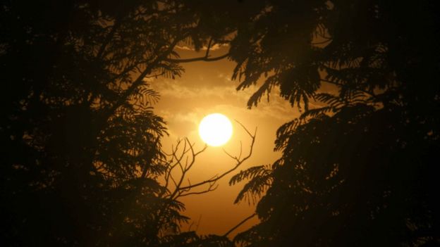 விஜயராஜ், திருப்பூர்