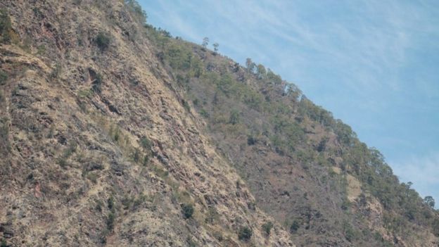 लडेर ज्यान गुमाउनेमा अधिकांश चौपाया पाल्ने किसान रहेका छन्