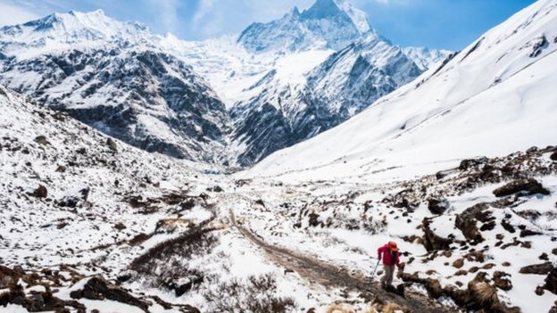 A trekker walks to the Annapurna base camp with Mount Machapuchare in the background