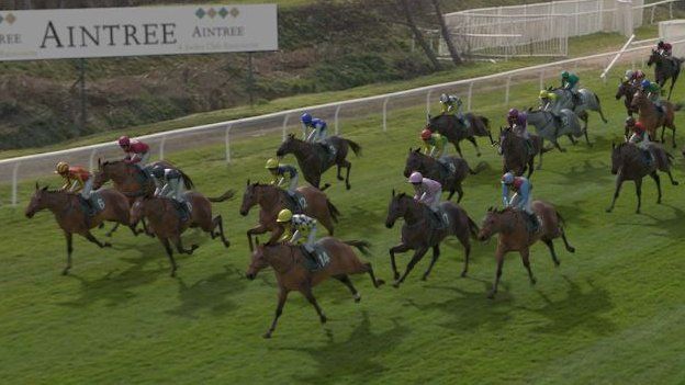 Runners in the Virtual Grand National