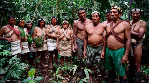 Los waorani viven en medio de la selva amazónica.