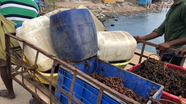 நள்ளிரவு முதல் தமிழக விசைபடகுகள் மீன்பிடிக்கச் செல்ல அரசு தடை