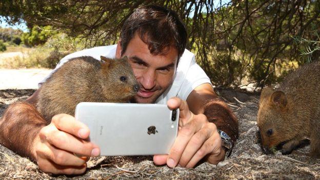 Roger Federer tomándose una foto con un quokka
