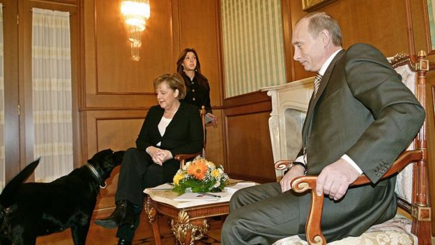 Koni, el Labrador de Putin, se acerca a Merkel en el encuentro entre ambos líderes.