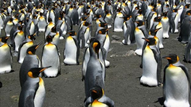 உலகப் பார்வை