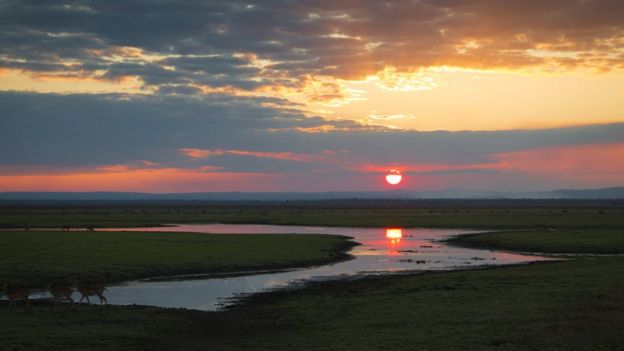 Por do sol em Parque Nacional da Gorongosa