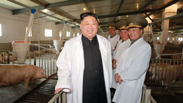 Kim Jong-un đến thăm trang trại lợn Thaechon của Lực lượng Không quân và Phòng không (ảnh không rõ ngày chụp do Thông tấn xã Bắc Hàn đưa ra hôm 23/4)