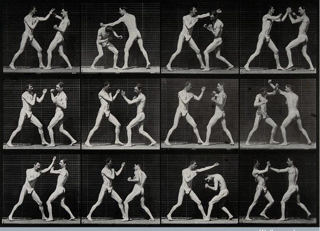 Dos hombres boxeando. Fotograbado de Eadweard Muybridge, 1887.