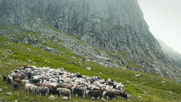 In BBC Four's The Great Mountain Sheep Gather we see a shepherd reflecting on life while caring for his flock