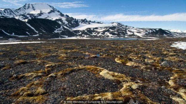 permafrost em Svalbard