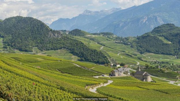 Rhone Valley in southern Switzerland is famous for its terraced vineyards and home-grown produce