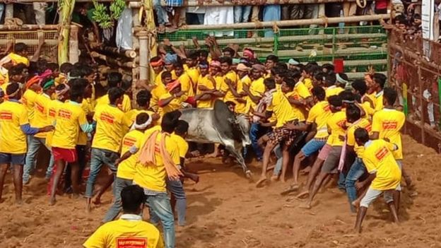 புதுக்கோட்டையில் அடங்க மறுத்த காளைகளை அடக்கிய காளையர்கள்