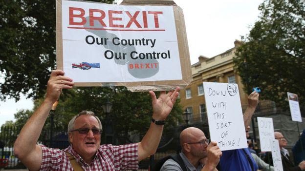 Protesta pro Brexit