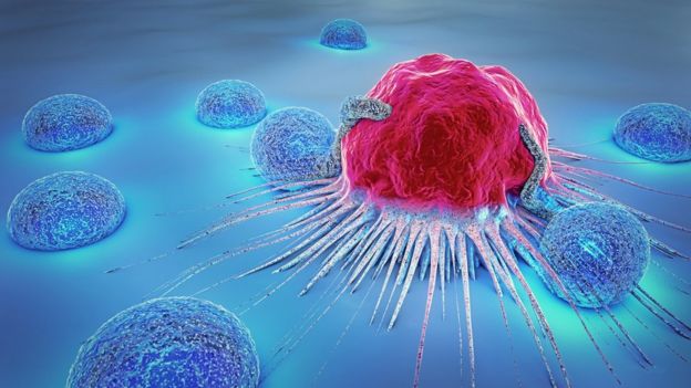 Linfocitos atacando una célula cancerígena