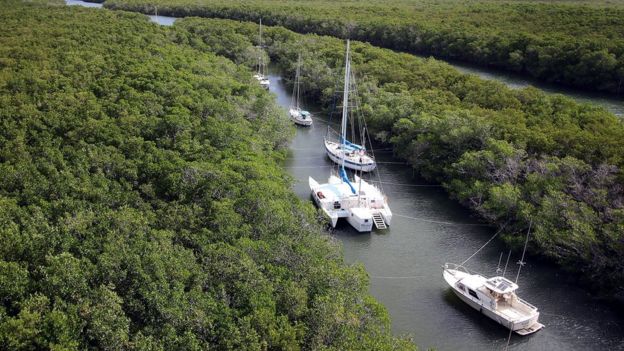 La evacuación por el huracán Irma también se produce por vía acuática