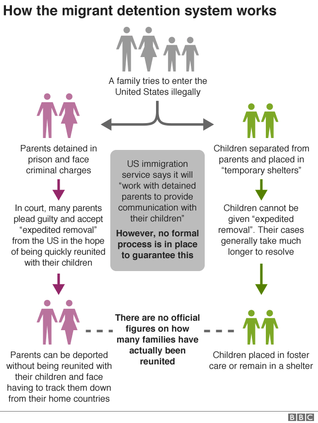 Chart showing how the detention process works