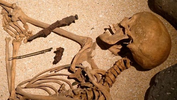 மண்டை ஓடுகள்