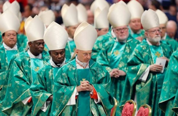 Papa Francesco ve kardianaller