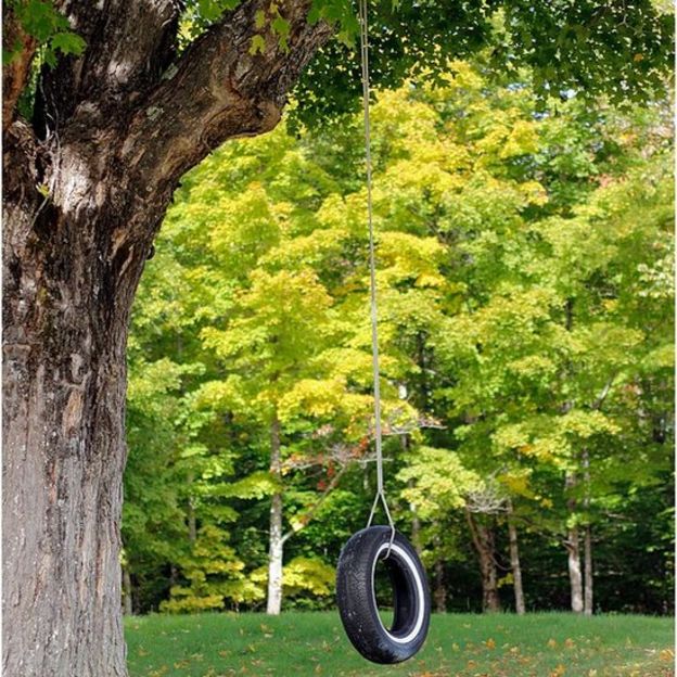 Tree with tire swing