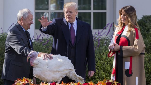 El presidente Donald Trump perdona a un pavo por Acción de Gracias