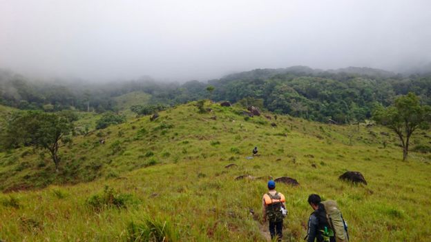 Montañas en el sur de Vietnam donde fue localizado el ciervo ratón