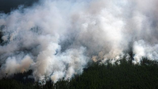 Climate Change: Wildfire Smoke Linked To Arctic Melting - Bbc News