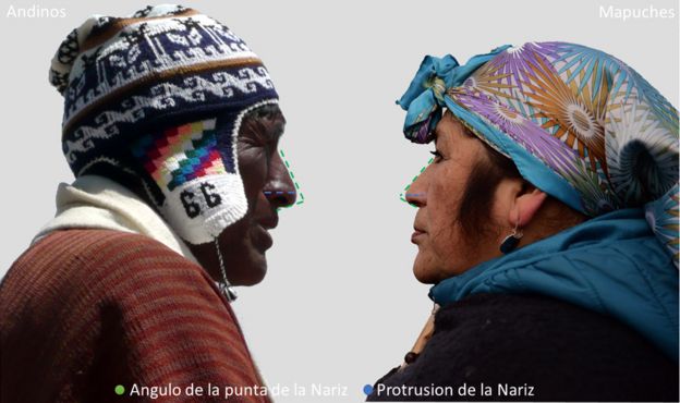 indígenas andinos e mapuche