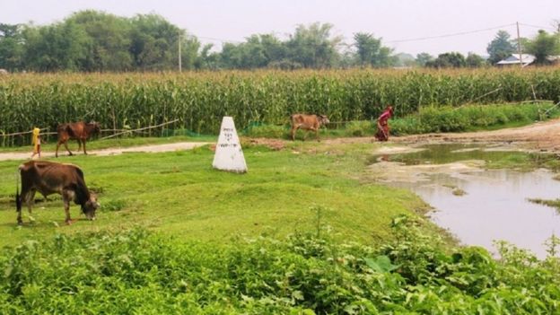 खेतीपाती