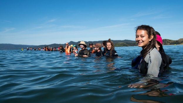 Jóvenes sumergidos hasta el pecho haciendo una barrera humana para impedir el varamiento de un nuevo grupo de ballenas