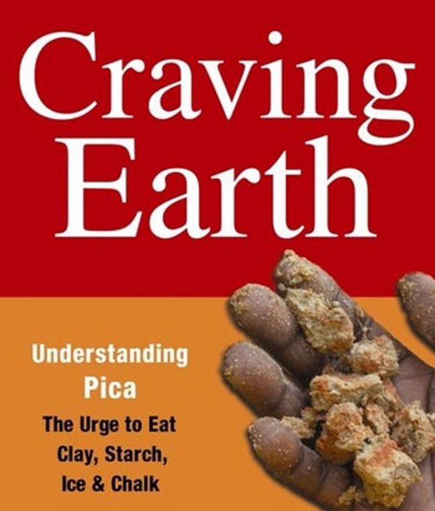 Portada del libro "Craving Earth" de Sera Young