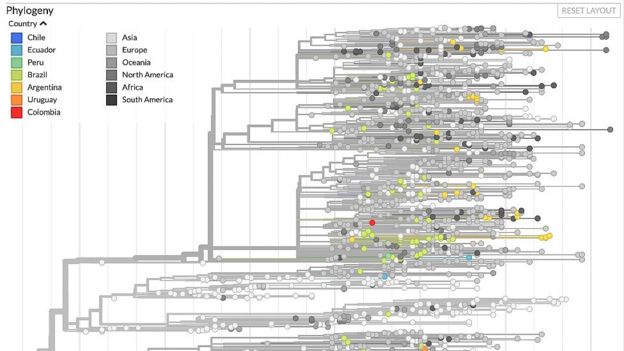 Mapa del virus.