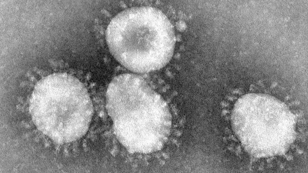 imagem de coronavirus no microscopio eletronico