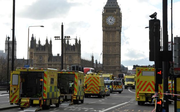 % Searching for the 'angel' who held me on Westminster Bridge Ambulances lined up on Westminster Bridge