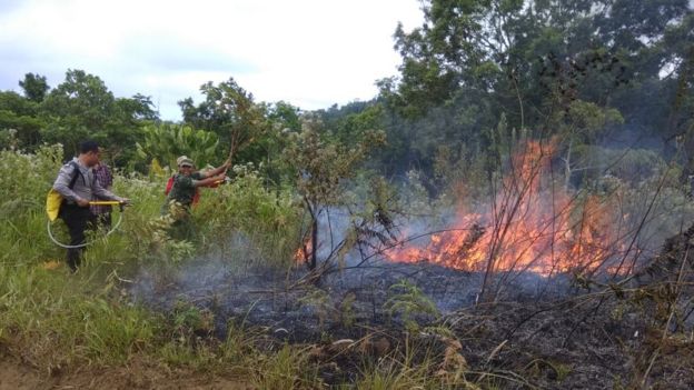 Kebakaran Di Taman Nasional Gunung Rinjani Dan Pulau Komodo