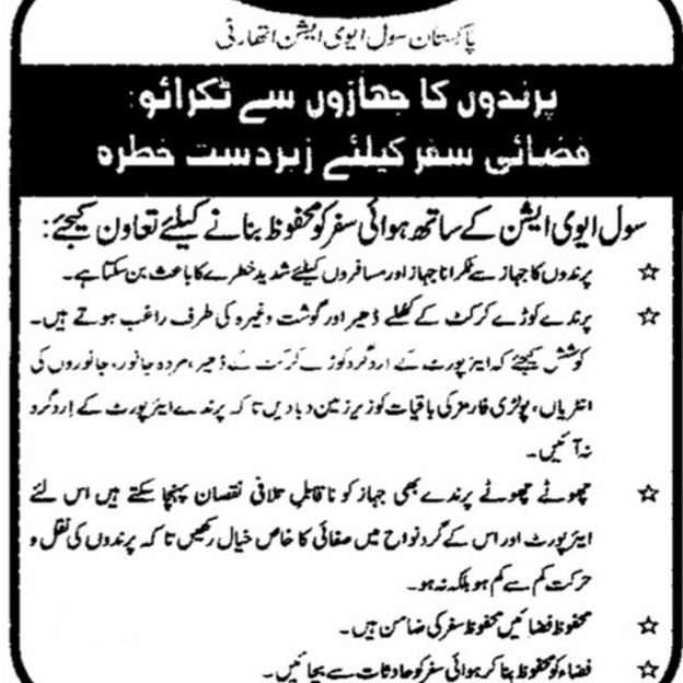 سی اے اے